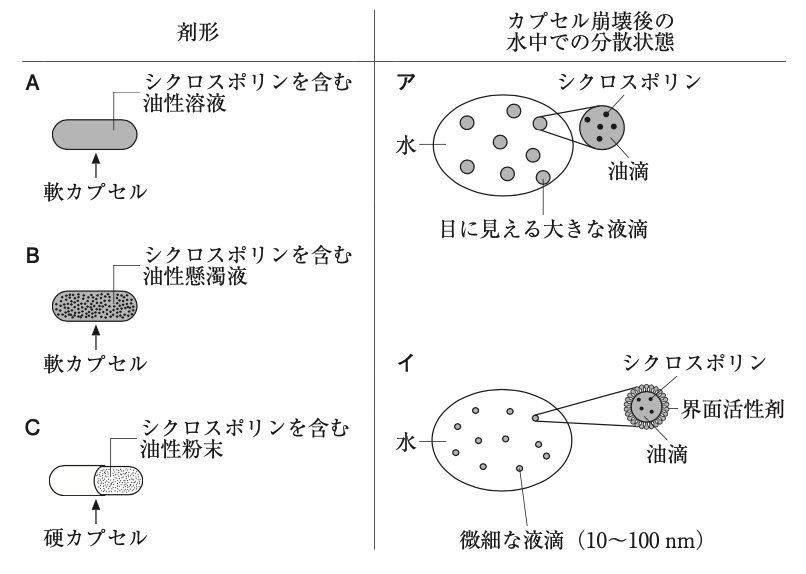 解説画像
